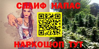 прущие грибы Донской