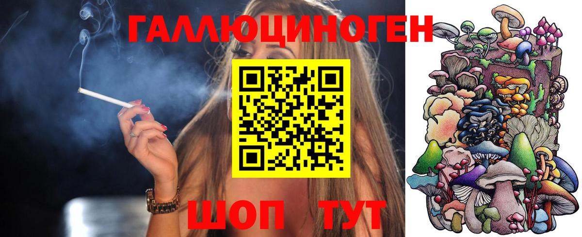 Псилоцибиновые грибы Cubensis Надым